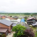 판문마을 한겨레