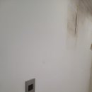 다산로 | 다산로15길 주택 곰팡이 제거 청소 지원 후기 – 누수로 인한 벽지 내부 곰팡이 완벽 제거