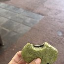 풍년떡집 티스토리
