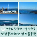 신들의풍차 | 제주도 한경면 가볼만한곳 <신창풍차해안도로 싱계물공원 제주바다목장>