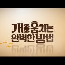 다Dog다Dog 이미지