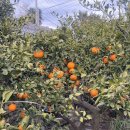 수동민박 이미지