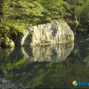 천지연매표소 이미지