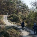 강진후산. 문봉(215).어지리산(216).윤갈문이(270).담바우산.당무산.이진산.장목등.산제당산.청용머리산 /충북 충주 이미지