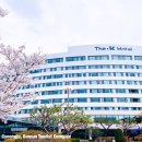 THE K-HOTEL 이미지