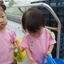 송산농협하나로마트 이미지