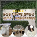 둔산로31번길 | 비안이즈 대전 빈티지펌 후기 | 둔산동 트렌디한 레이어드컷 펌 추천