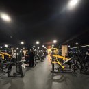 비비휘트니스 이미지