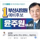 20180613 지방선거 부산시의원 예비후보1번의 인성이 보이는 댓글 ㅋ 이미지