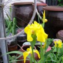 까페오월 이미지