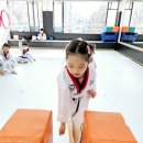 청솔태권도장 이미지