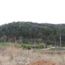 율촌초산수분교장 이미지