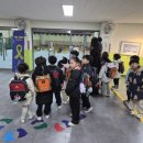 선창초등학교 이미지