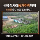H0041 네이버블로그