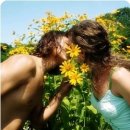 추억과낭만 이미지