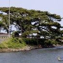 수산리-16 이미지