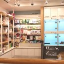 봄사랑 동물병원 이미지