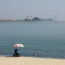 깃발목장 이미지