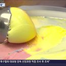 새맛식품 이미지