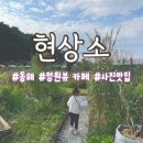봄,여름,가을,겨울 | [동해] 현상소 | 봄여름가을겨울 모두 다녀온 후기 | 정원뷰 디저트 사진 맛집