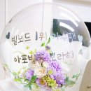 뿔난여우 이미지
