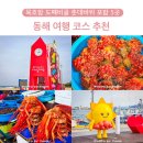 동해 여행 코스 동해 묵호항 도째비골 스카이밸리 찹쌀떡선물 추암 촛대바위