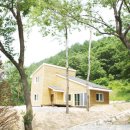 숲속의 집 이미지