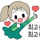 해피펫애견 이미지