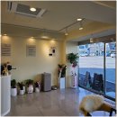 라이프독 강릉점 24시 강아지분양 고양이분양 이미지