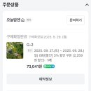 이도명가 | 오스트리아 캠핑장 : 가평 캠핑장 / G2 사이트 / 카페 임초리 방문 후기