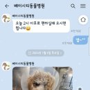 베이시티 동물병원 이미지