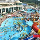 워터파크 이미지