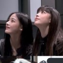 동물농장 이미지