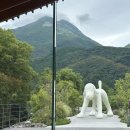 Art Dog(아트독) | 후쿠오카 여행 코미코 아트 뮤지엄 유후인 후기