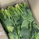 이비엠한의원 이미지