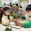 또래유치원 이미지