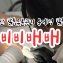 비비배배