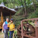 만인산농업협동조합 | (250918) 경수산악회 금산 하늘물빛정원/대전 만인산자연휴양림 트레킹