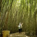 파도와함께하는펜션 이미지