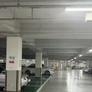 오약국 건너편 이미지