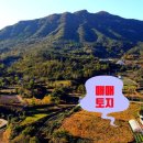 백운면 2408 이미지