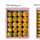 서율이네귤