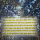 말하지 않고 말하기 책 | 김정운 책 후기 | 이번엔 진짜 정말 다르다는 말의 서글픈 유통기한 추천 리뷰...