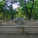 월산대군 이정태실 이미지