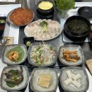 싱싱활어도매 | 동래 맛집 활어 전문 횟집 ‘OK 도매횟집’ 방문 후기