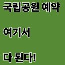 국립공원공단 예약시스템 완전정복 (야영장·대피소·자연체험 프로그램까지 총정리)