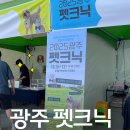 플레이 바우 펫살롱 | 2025 광주 펫크닉 &amp; 펫쇼 캣쇼 다녀왔어요! (feat. 김대중컨벤션센터 야외광장) ⎮ 2025 광주 펫박람회