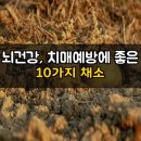 치매 예방과 뇌 건강을 지켜주는 채소 10가지 이미지