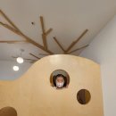 따뜻한정치과의원 이미지