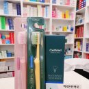 셀메드 오늘약국 이미지